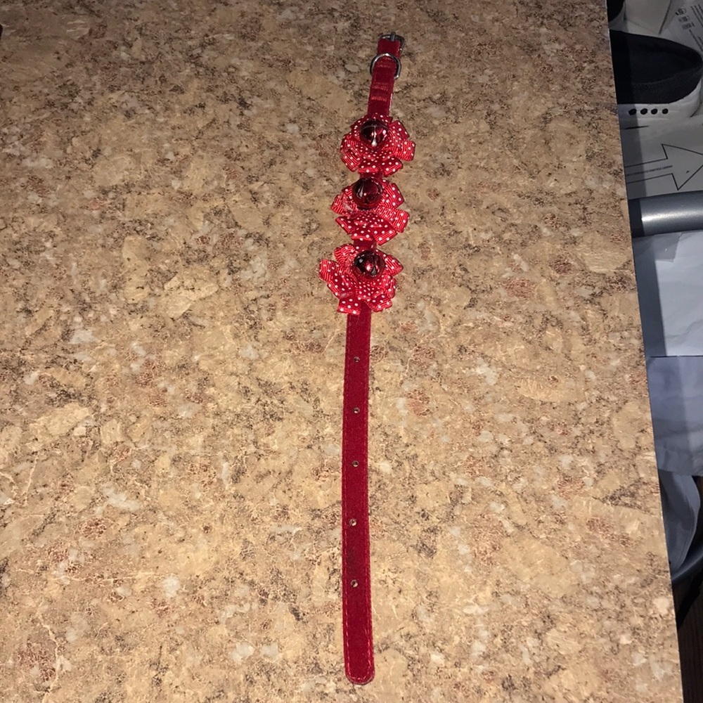 Cute NWOT Velvet Pet Collar